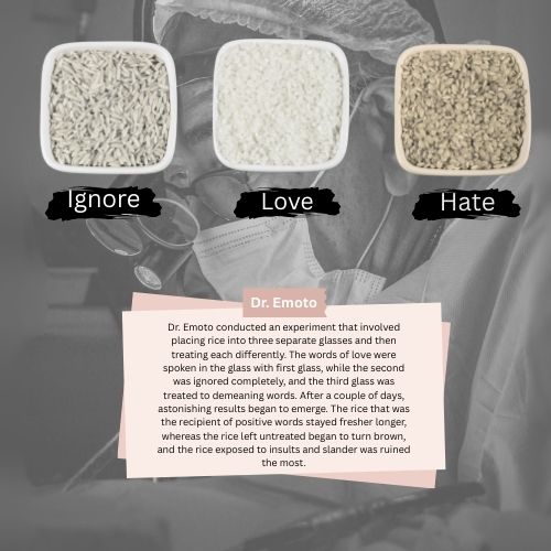 Dr. Emoto’s Rice Experiment